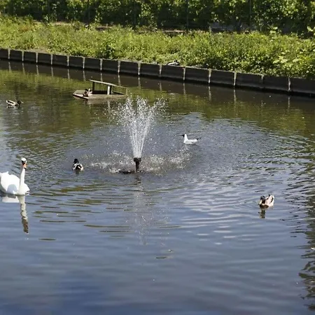 Nyaraló Mosselbank 59 Comfortable Ouddorp